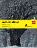 busco libro de matematicas 6 de primaria