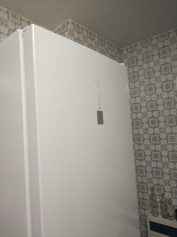 Regalo puerta nevera nueva Corberó CC2200EDW