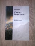 Libro. Cumbres borrascosas.