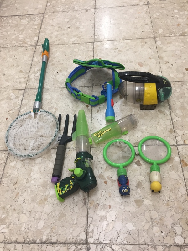 Juego de niños: los insectos!!