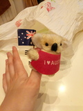 Koala recuerdo de Australia