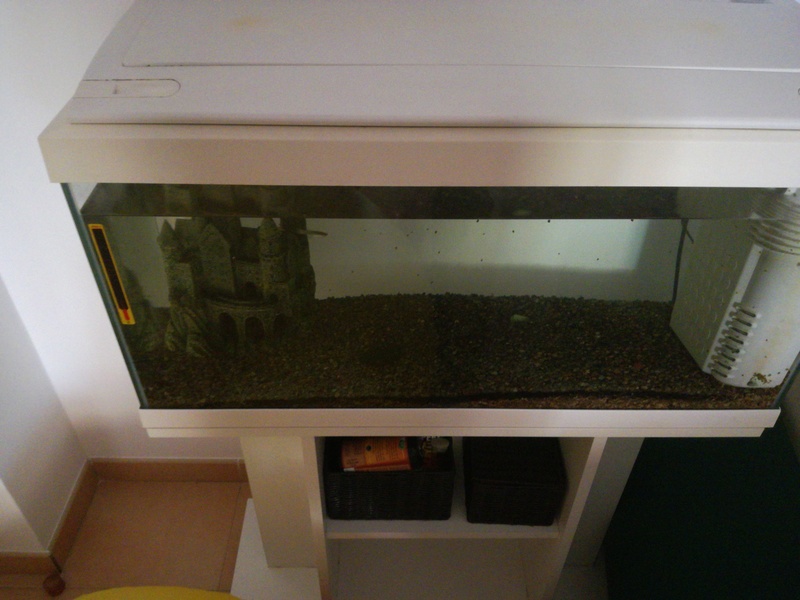 Acuario de 60 litros, equipado