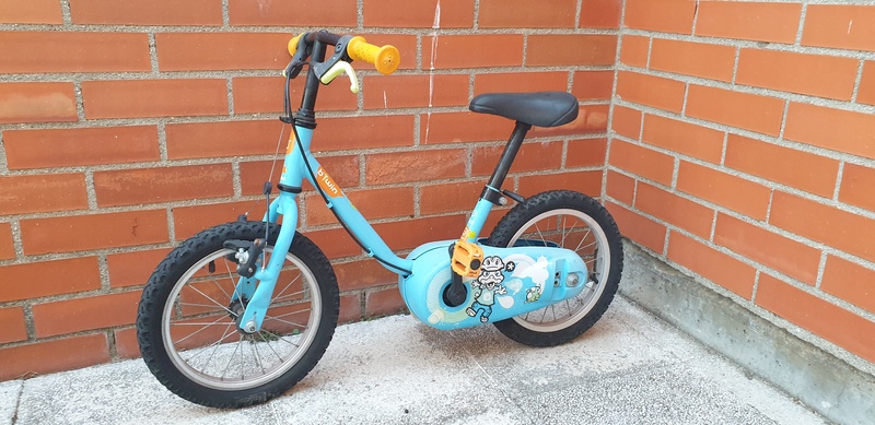 Bicicleta de niños (sin ruedines)
