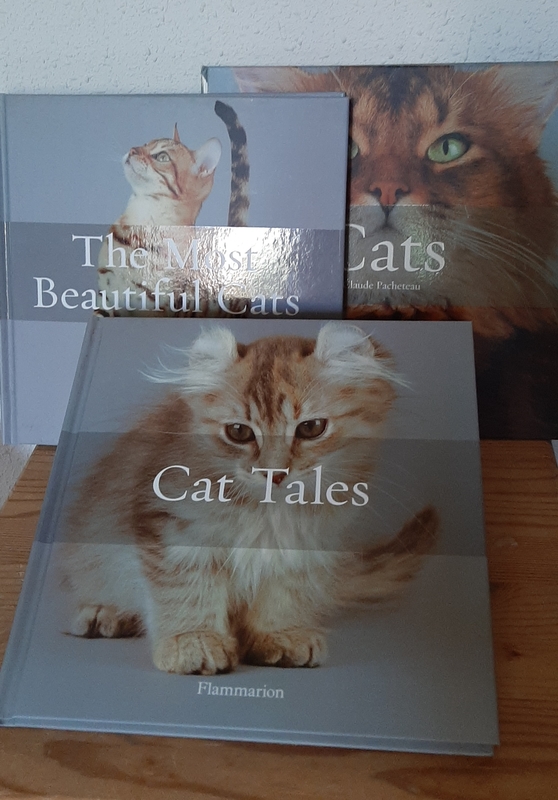 Libro doble sobre gatos
