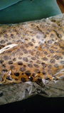 fular leopardo
