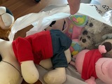 Bolsa con varios peluches