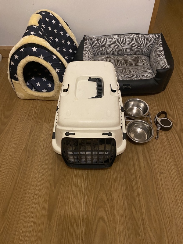 Artículos perro pequeño 