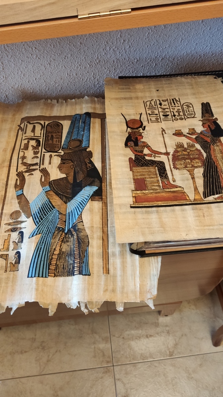 Regalo papiros