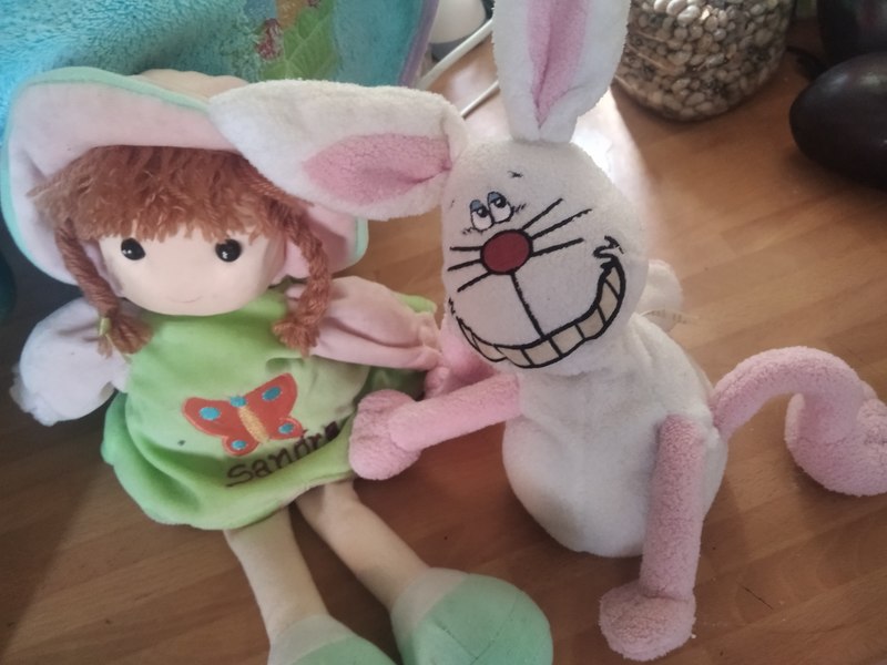 Muñeca  y un conejito