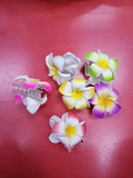Pinzas para el pelo de flores Hawaianas