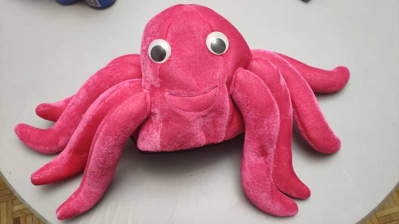 Gorro pulpo