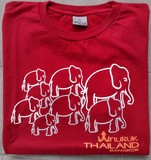 Camiseta Tailandia - Talla L