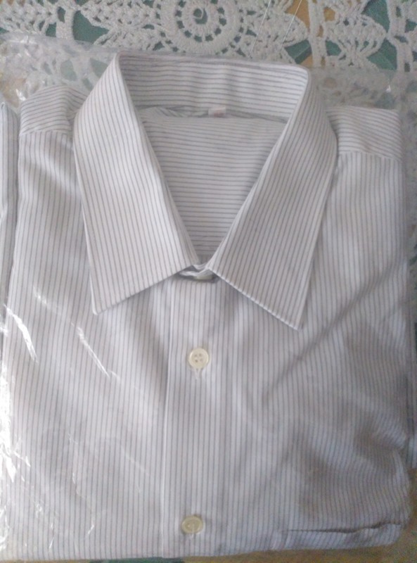 Camisa