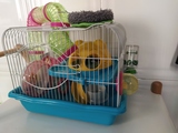 Jaula hamster 