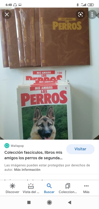 Colección mis amigos los perros