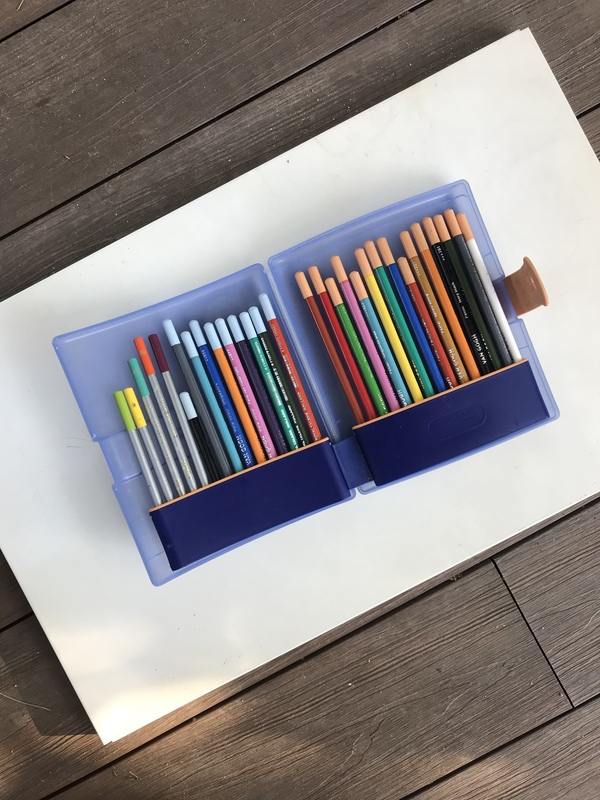 Estuche con lápices de colores varios