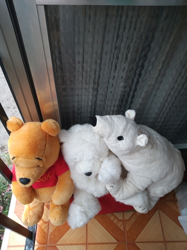 Regalo 3 osos de peluche.