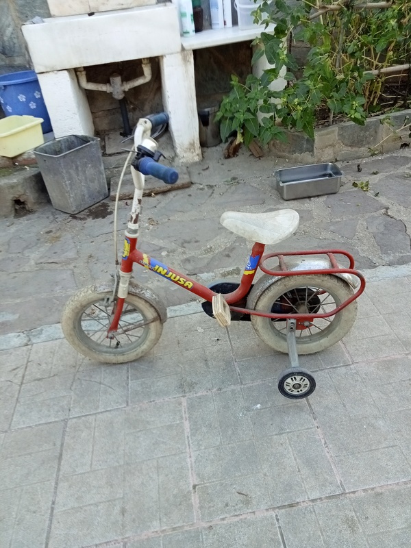 Bicicleta xiquet/a