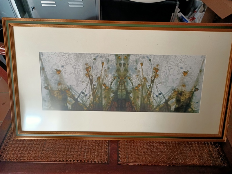 Regalo cuadro lámina