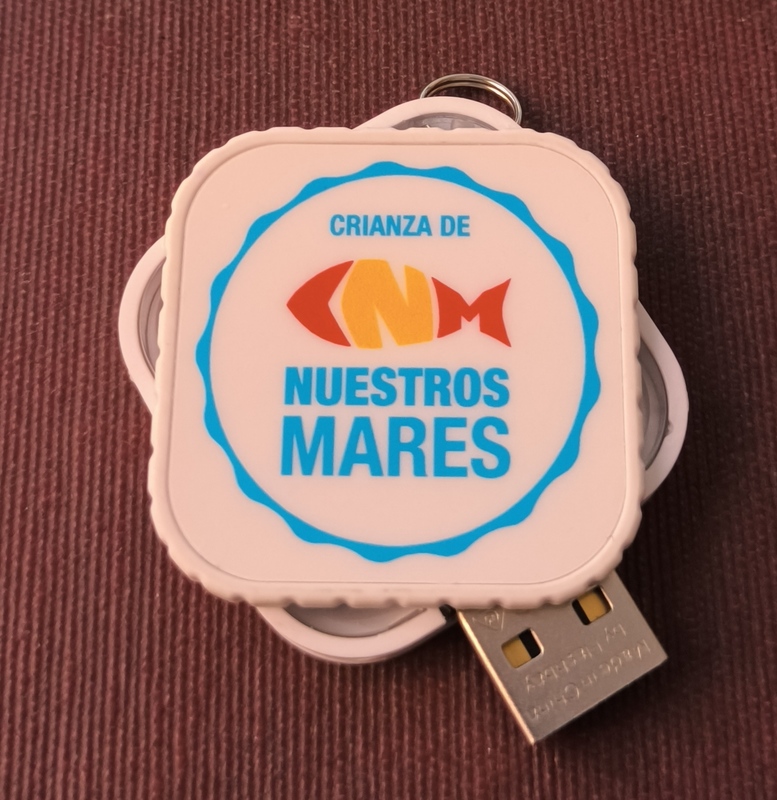 USB 8Gb