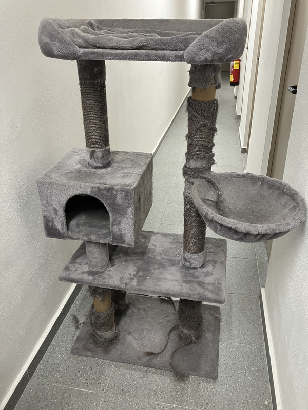 Torre árbol rascador para gatos