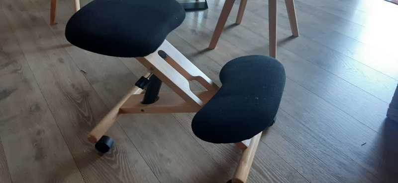 Cadira ergonòmica 