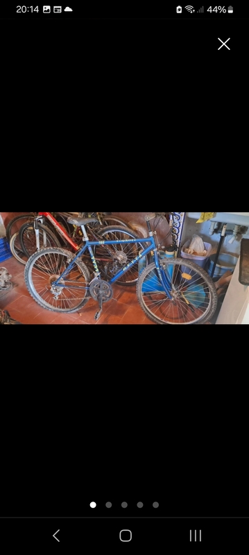 Regalo bici de adulto