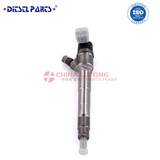 Common Rail Fuel Injector 0445110443