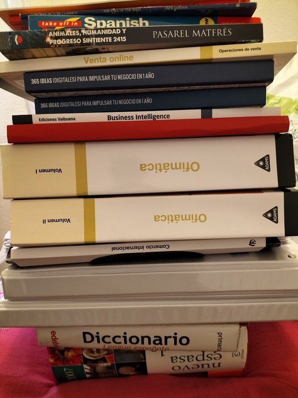 Lote de libros, cursos y diccionarios varios  