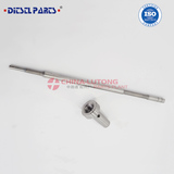 Common Rail Injector Valve Assembly F 00V C01 318