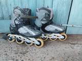 patins linia