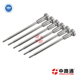 Common Rail Injector Valve Assembly F00R J01 895 VE