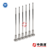 0 445 110 195 Injector Valve Set  ve