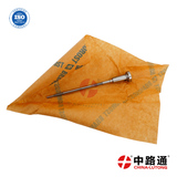 0 445 110 286 Injector Valve Set ve