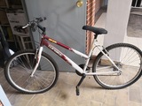 Regalo bici paseo