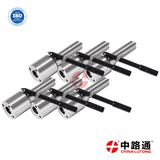 Common Rail Fuel Injector Nozzle L087PBD  VE