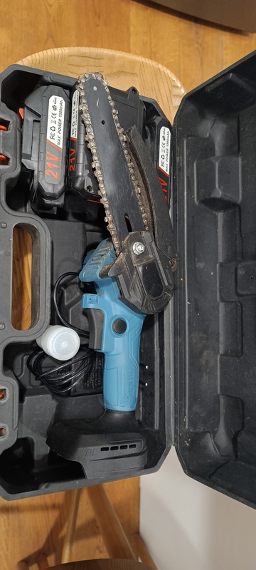 motosierra electrica