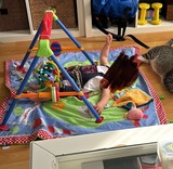 Gimnasio y manta suelo bebe