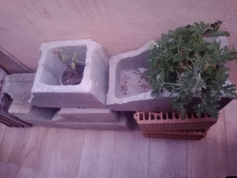 Recortes de bloques de hormigón gris