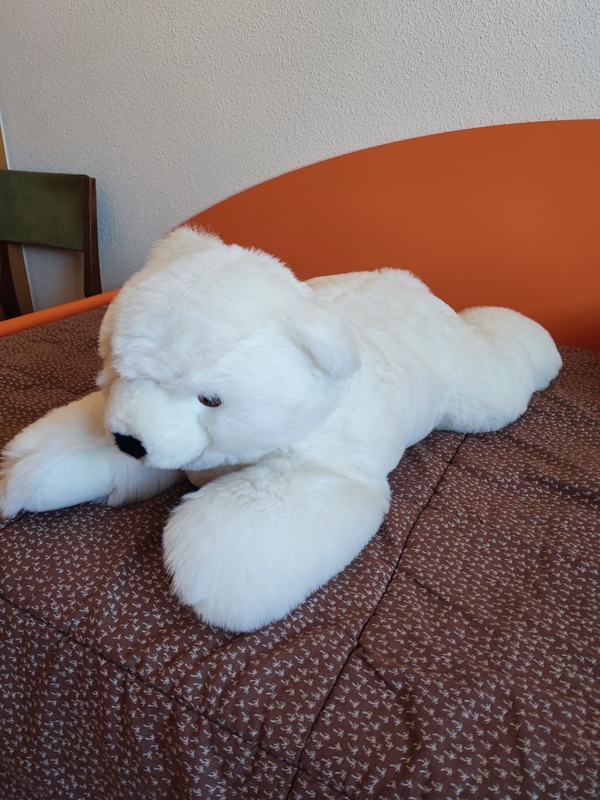 Oso peluche 