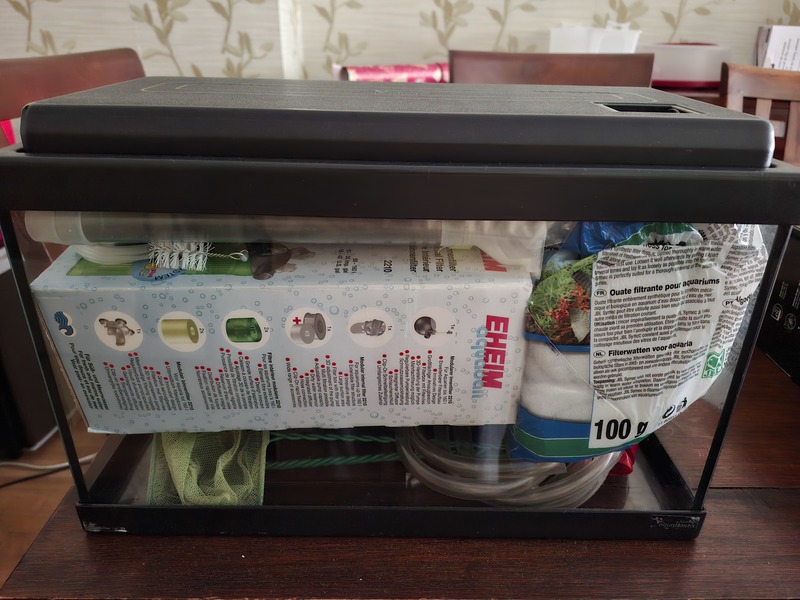 Regalo pecera