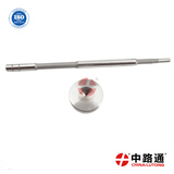 Common Rail Injector Valve F00VC45206 ve