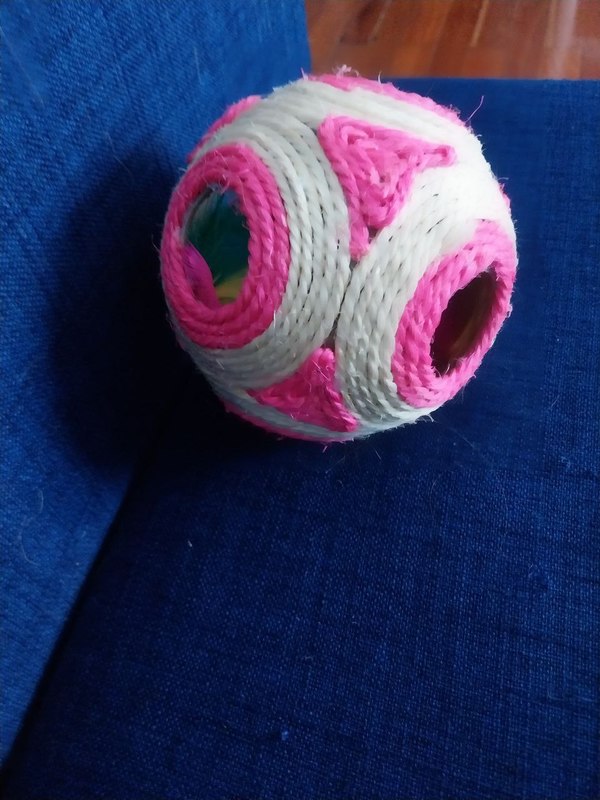 Pelota gatos