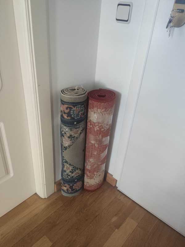 Dos alfombras de pasillo (tarik81) 