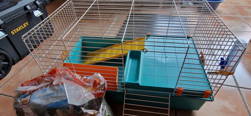 Regalo jaula para cobaya o conejo