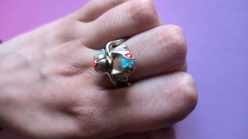 Anillo bulbasaur