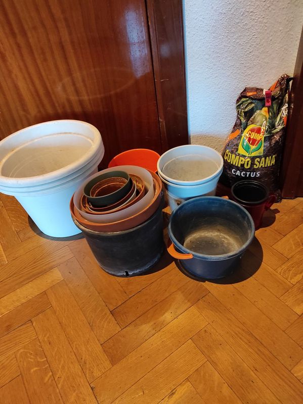 Lote macetas para jardinería