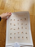 3 Posters Yoga 