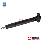 Nozzle Sprayer 166009384R ve