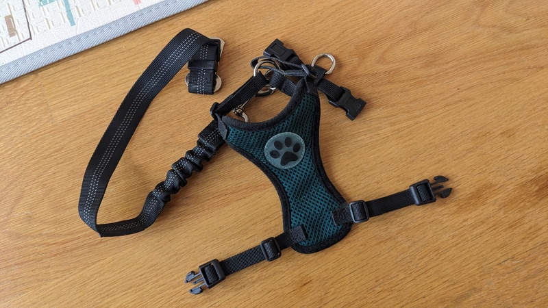 Regalo correa de coche para perro pequeño o gato